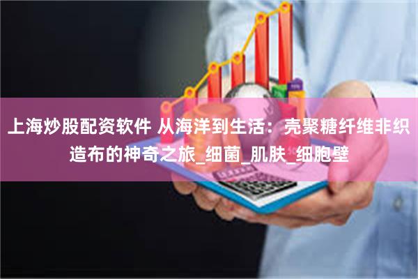 上海炒股配资软件 从海洋到生活：壳聚糖纤维非织造布的神奇之旅_细菌_肌肤_细胞壁