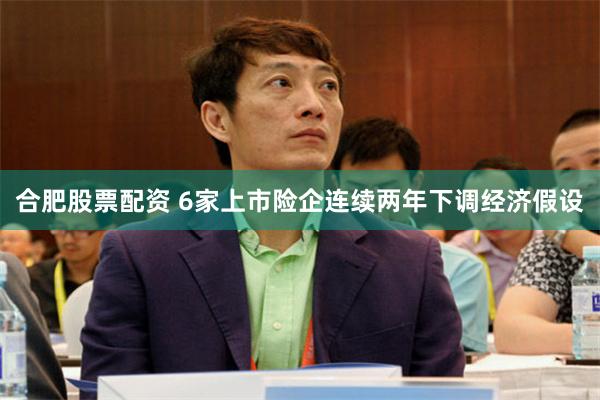 合肥股票配资 6家上市险企连续两年下调经济假设