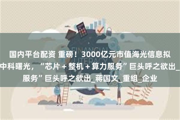国内平台配资 重磅！3000亿元市值海光信息拟合并900亿元市值中科曙光，“芯片＋整机＋算力服务”巨头呼之欲出_蒋国文_重组_企业