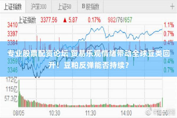 专业股票配资论坛 贸易乐观情绪带动全球豆类回升！豆粕反弹能否持续？