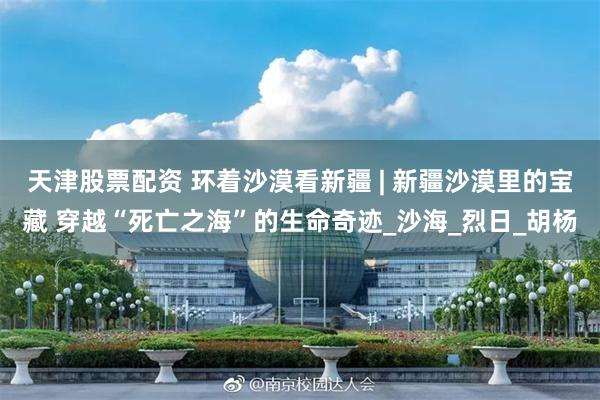天津股票配资 环着沙漠看新疆 | 新疆沙漠里的宝藏 穿越“死亡之海”的生命奇迹_沙海_烈日_胡杨