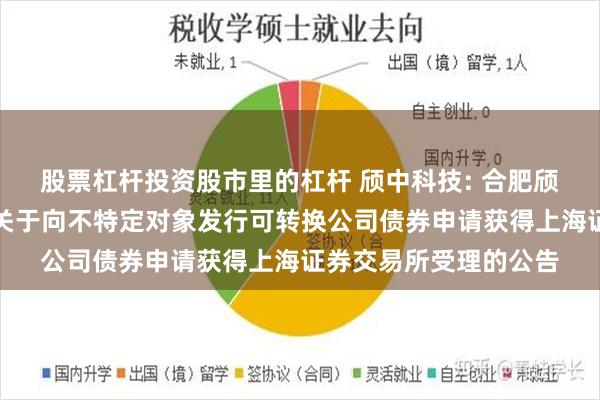 股票杠杆投资股市里的杠杆 颀中科技: 合肥颀中科技股份有限公司关于向不特定对象发行可转换公司债券申请获得上海证券交易所受理的公告
