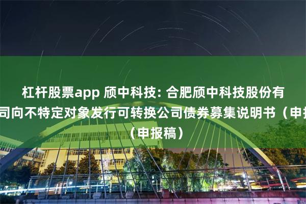 杠杆股票app 颀中科技: 合肥颀中科技股份有限公司向不特定对象发行可转换公司债券募集说明书（申报稿）