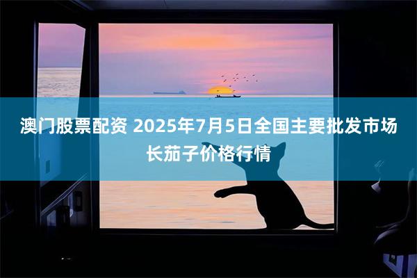 澳门股票配资 2025年7月5日全国主要批发市场长茄子价格行情