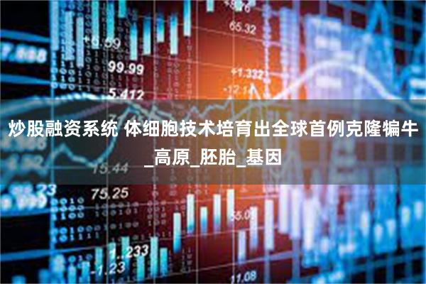 炒股融资系统 体细胞技术培育出全球首例克隆犏牛_高原_胚胎_基因