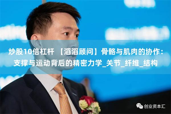 炒股10倍杠杆 【滔滔顾问】骨骼与肌肉的协作：支撑与运动背后的精密力学_关节_纤维_结构