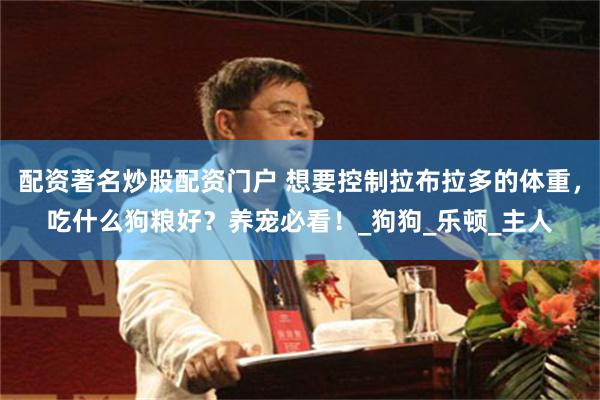 配资著名炒股配资门户 想要控制拉布拉多的体重，吃什么狗粮好？养宠必看！_狗狗_乐顿_主人