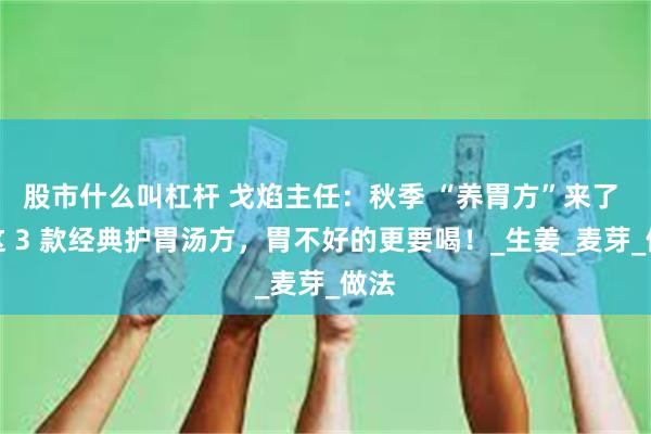 股市什么叫杠杆 戈焰主任：秋季 “养胃方”来了 ！这 3 款经典护胃汤方，胃不好的更要喝！_生姜_麦芽_做法